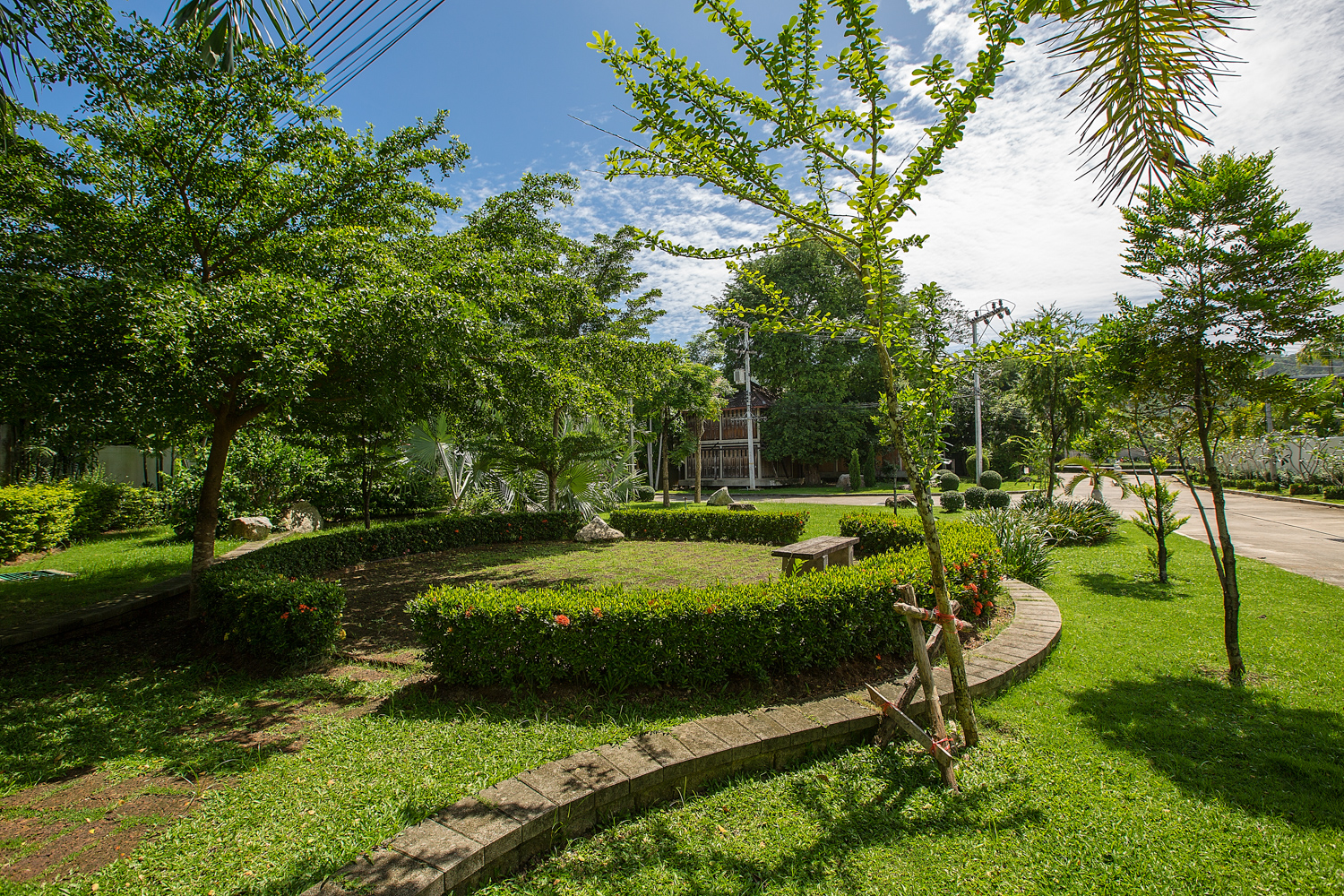 baan bua (2)