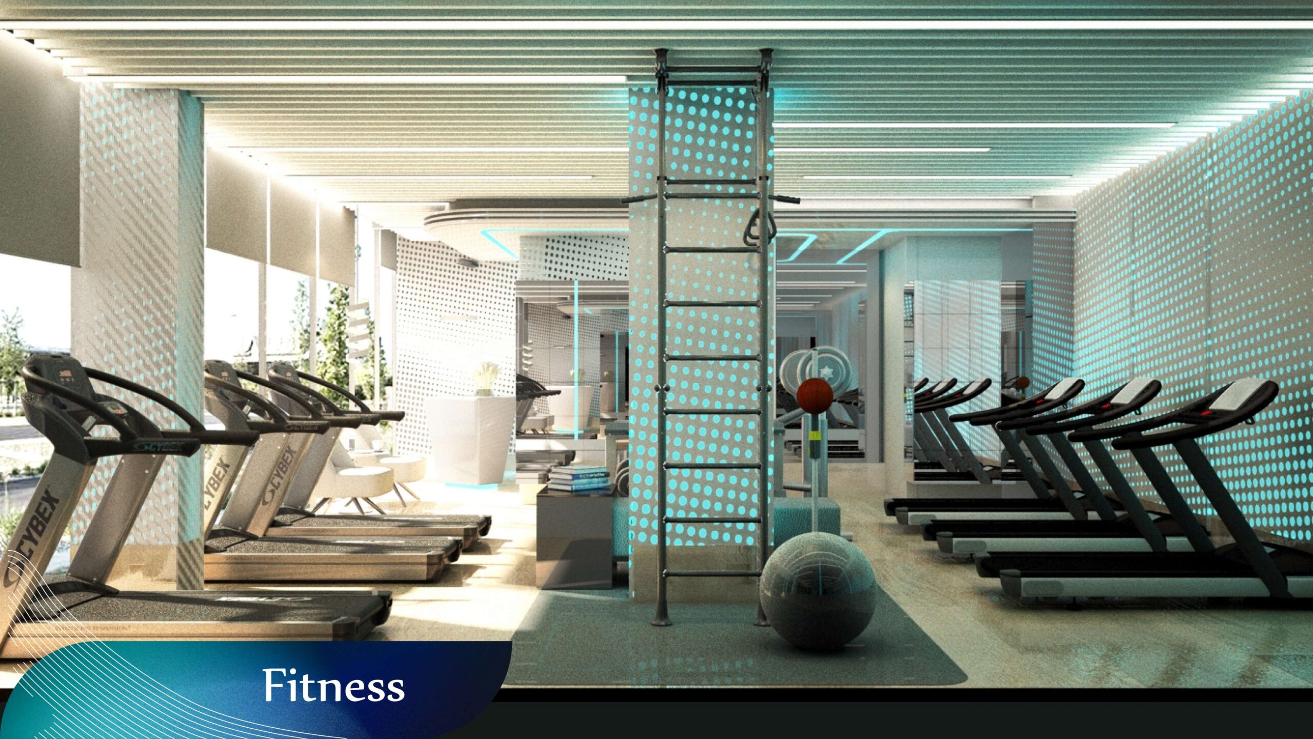 fitness fitness