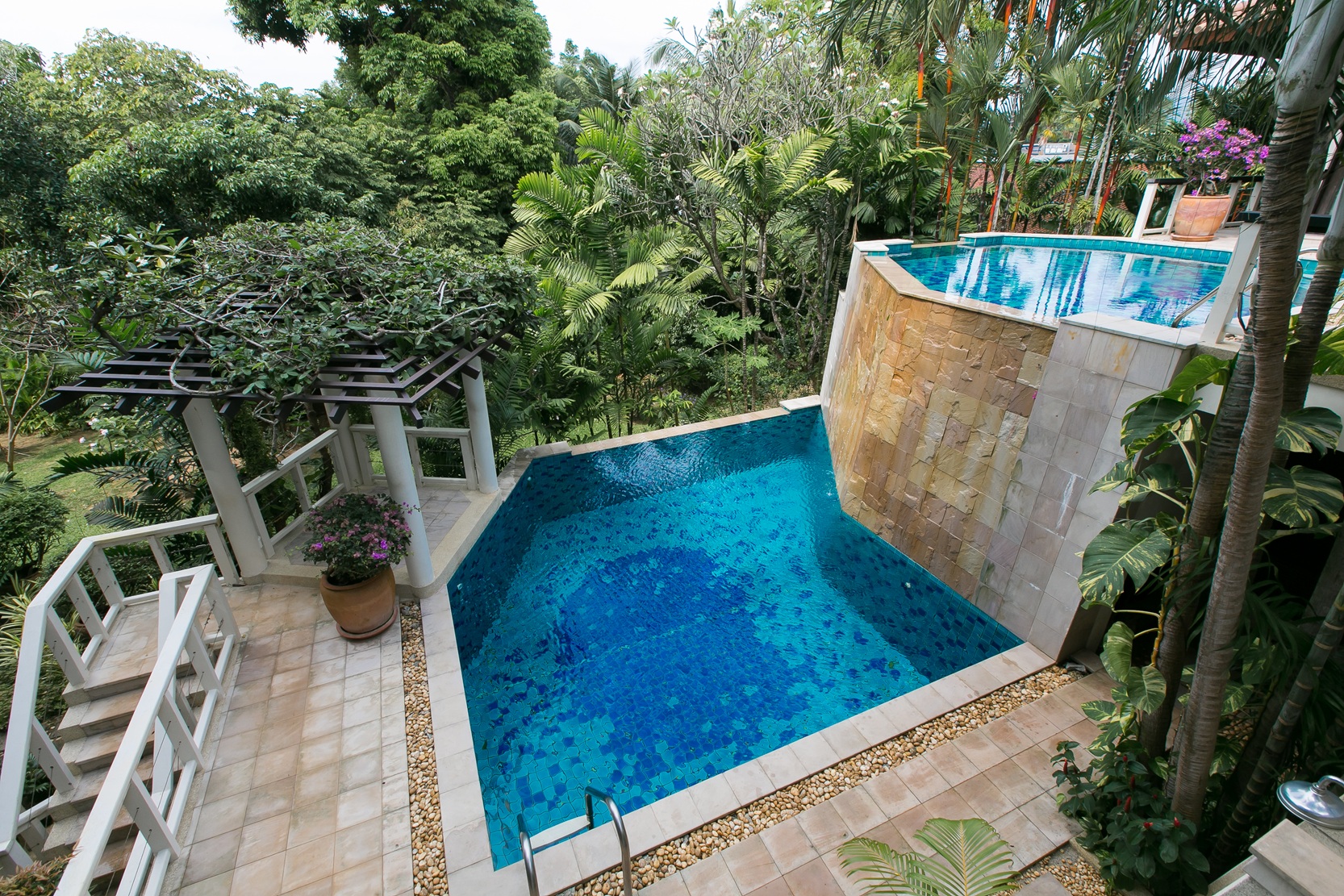 Katamanda _Garden_0011