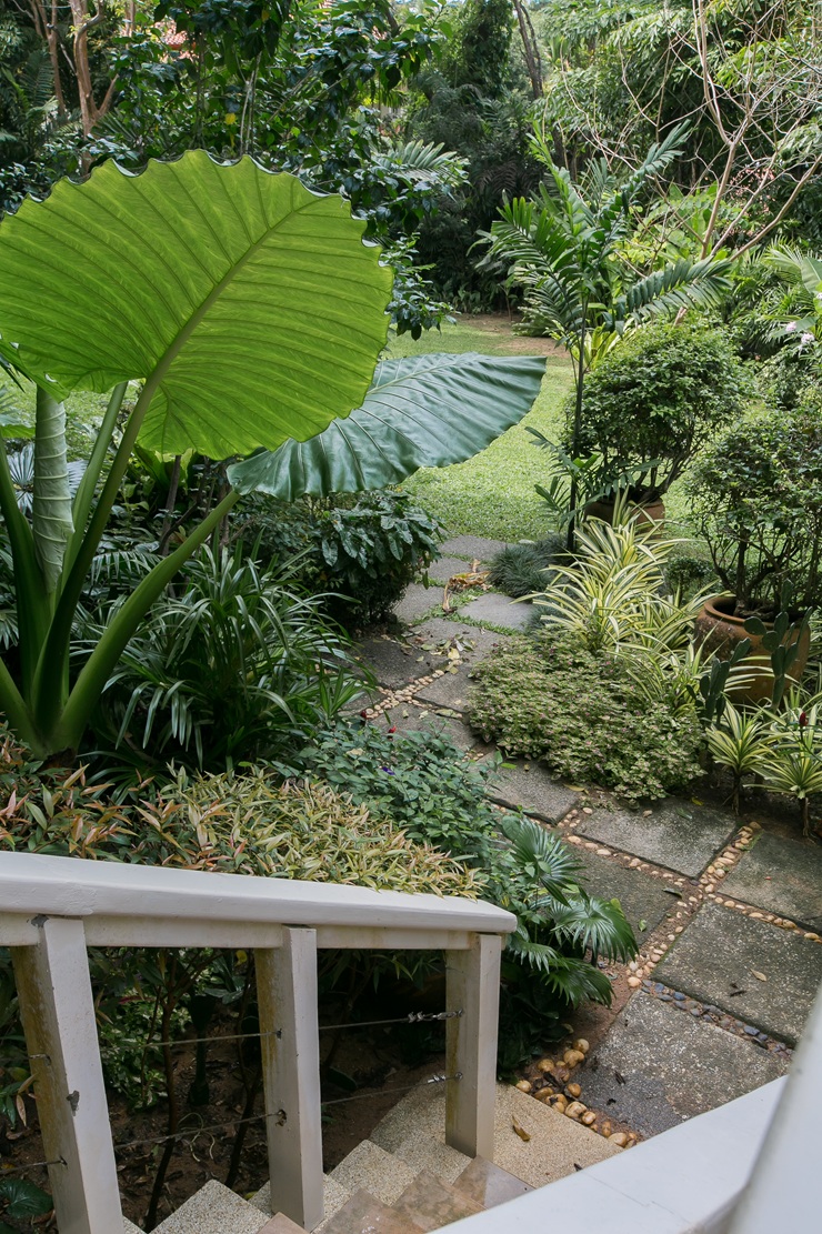Katamanda _Garden_0020