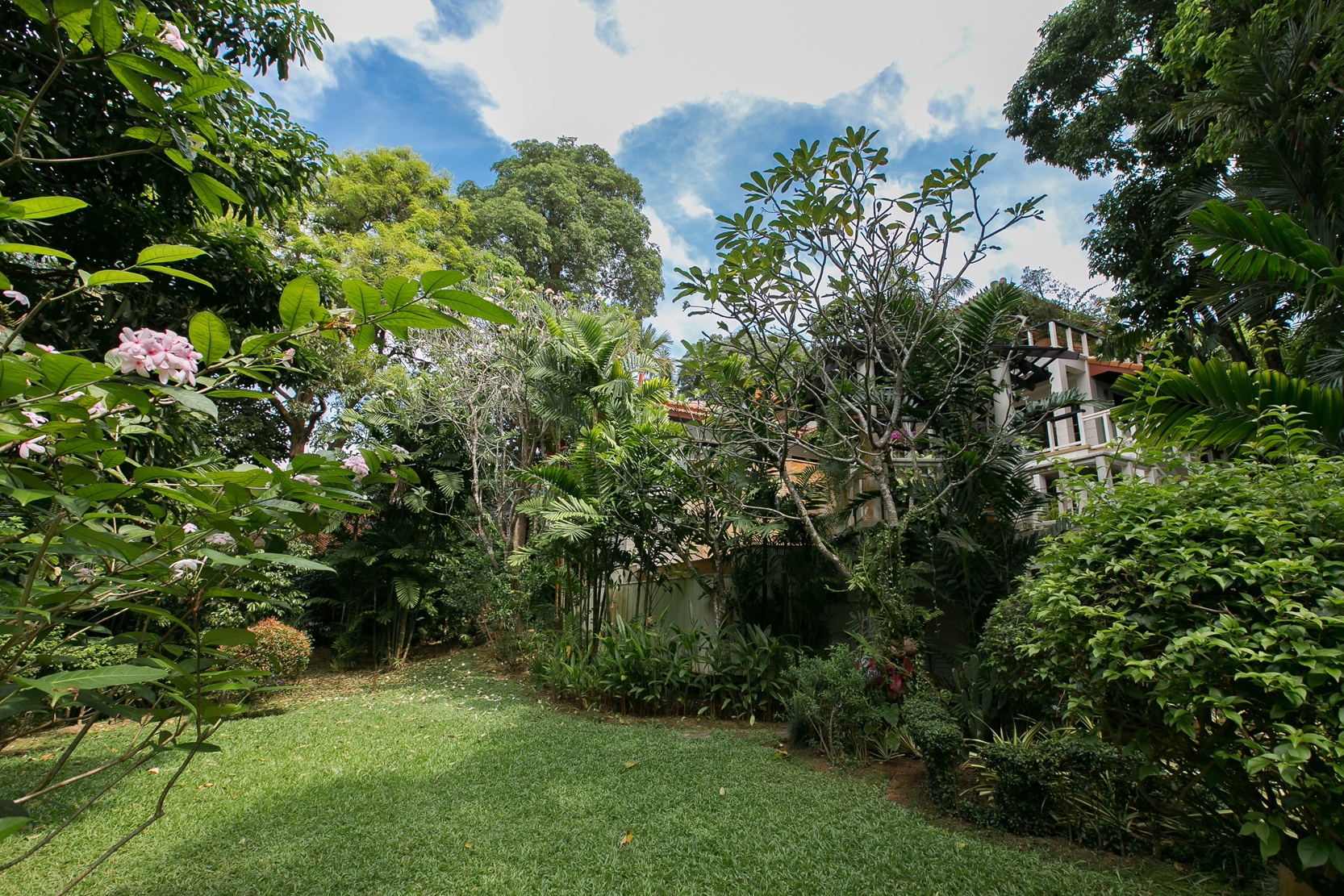 Katamanda _Garden_0022