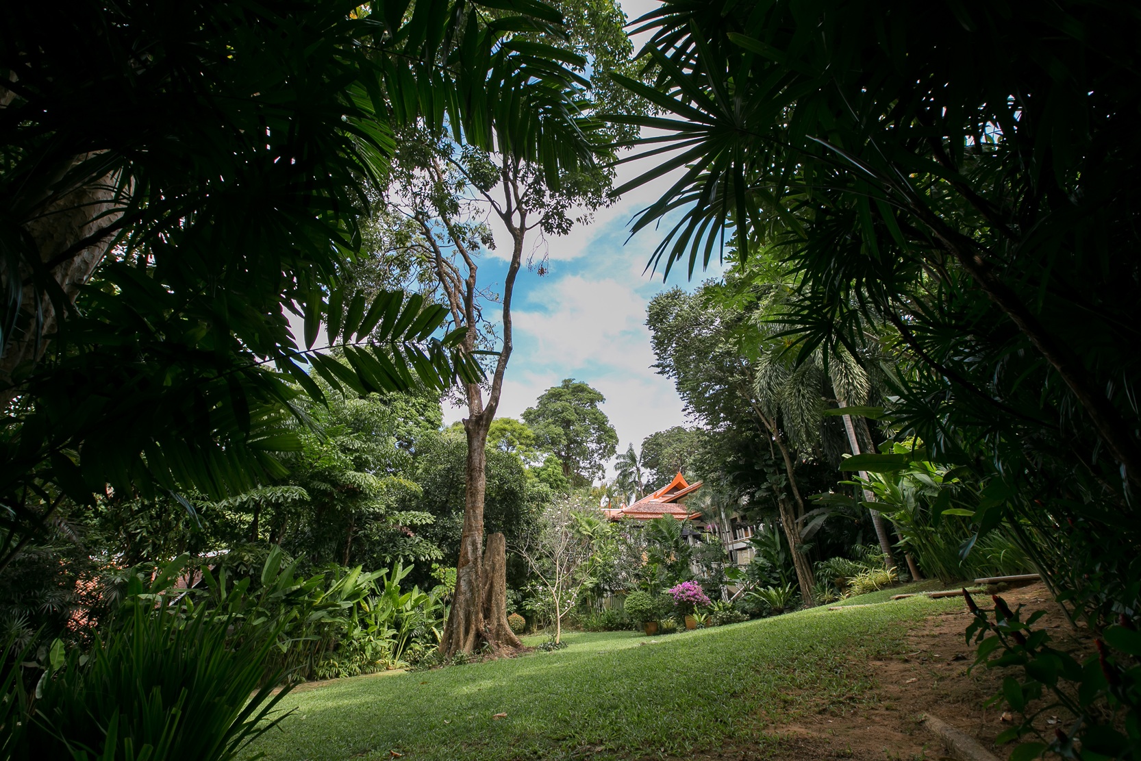 Katamanda _Garden_0023